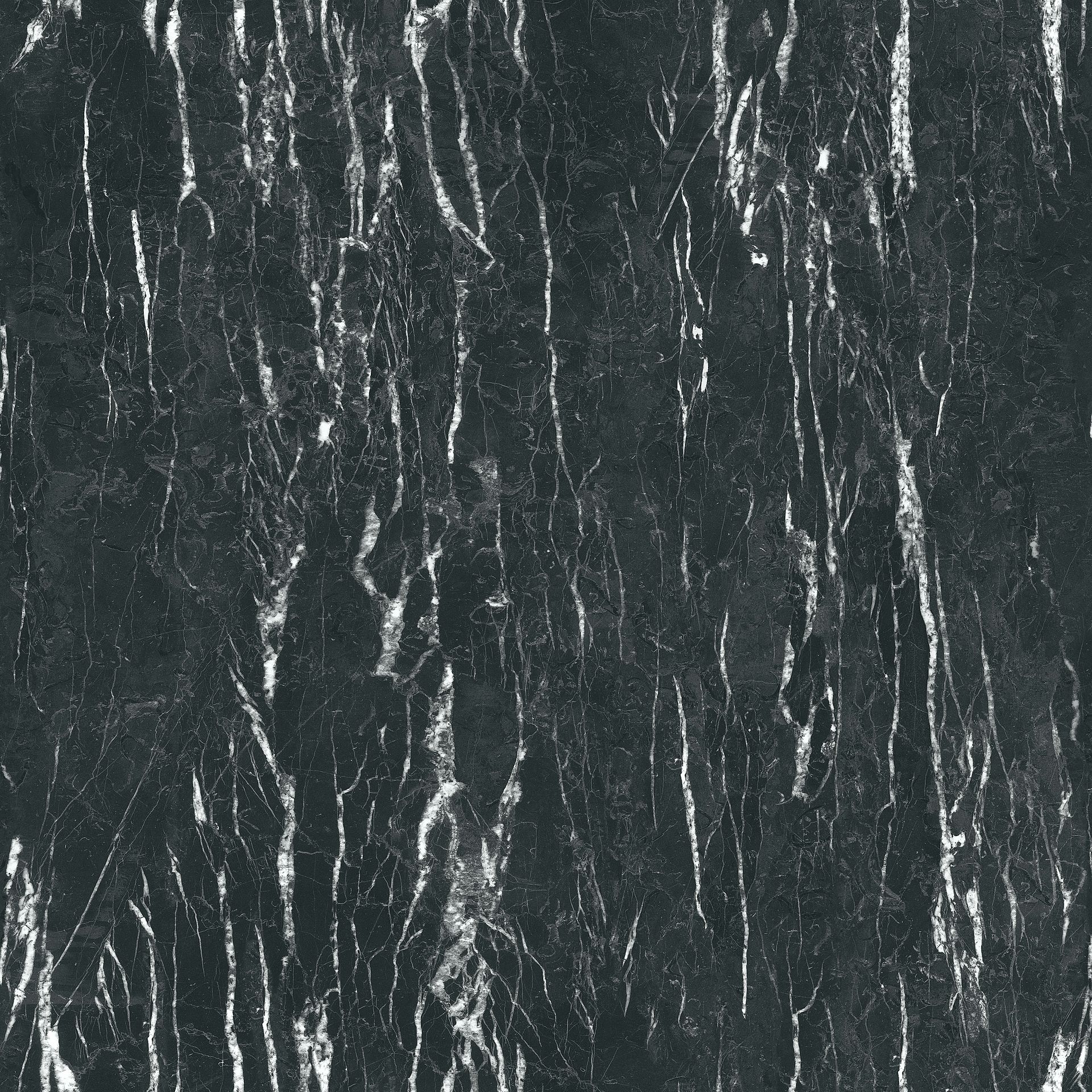 Pfleiderer Dekor S63028 Nero Portoro | Zamów wzornik