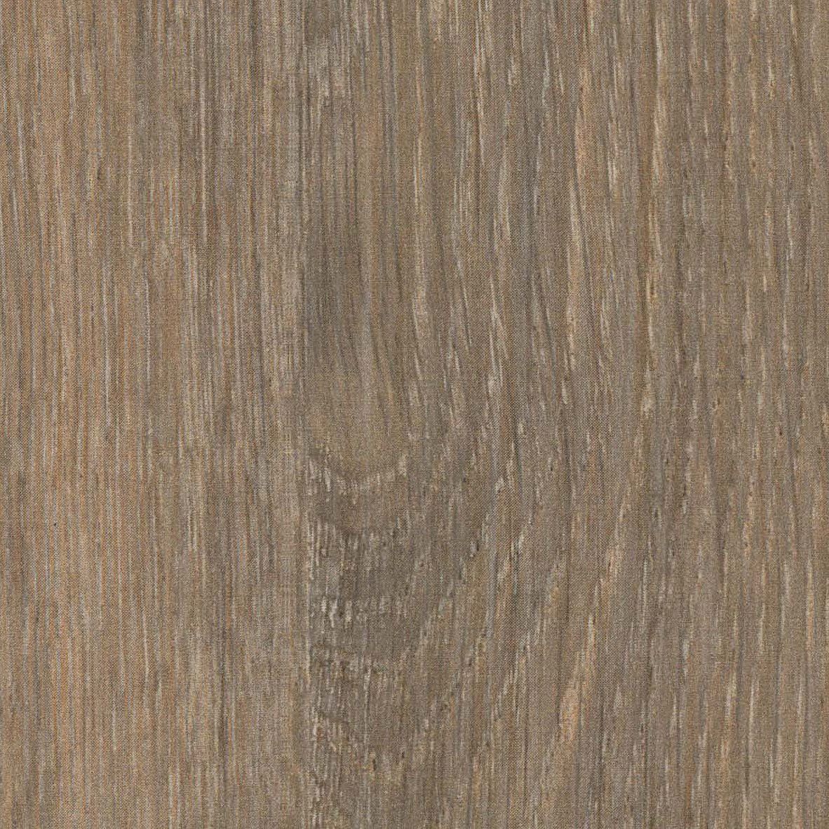 Pfleiderer Decor R20286 Italian Oak | Order a sample