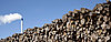 A stack of long wood, behind which the CHP fireplace at the Neumarkt site can be seen.