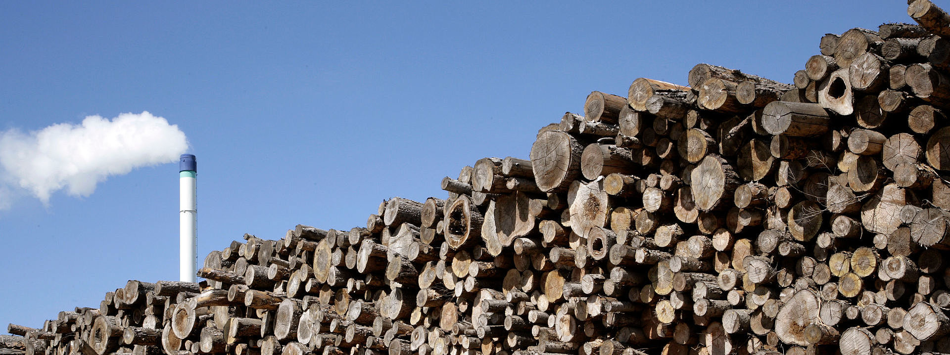 A stack of long wood, behind which the CHP fireplace at the Neumarkt site can be seen.