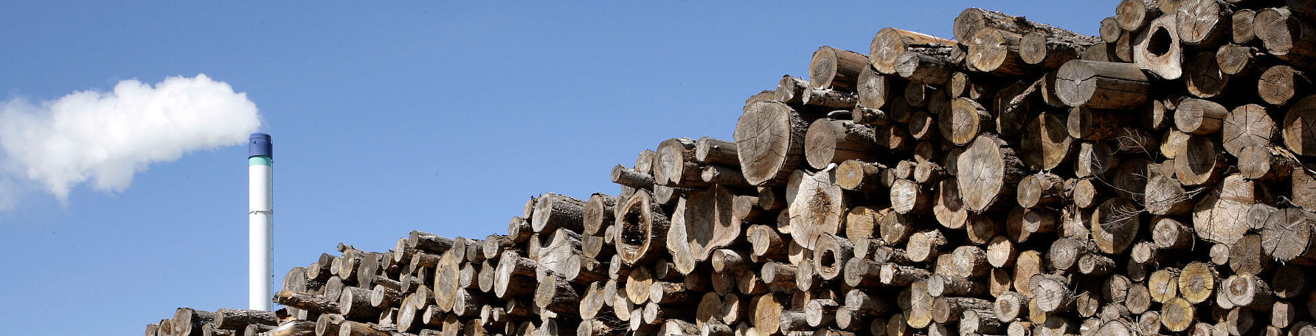 Here you can find the emission values of our two combined heat and power plants in Neumarkt and Gütersloh. A stack of long wood, behind which the CHP fireplace at the Neumarkt site can be seen.