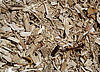 Shredded recycled wood