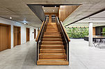 Na obrázku jsou dřevěné schody v místnosti s betonovými, dřevěnými a rostlinnými prvky.
