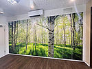 Fotografie čelní stěny skříně s dvířky, na které je vyobrazen motiv prosluněného březového lesa.
