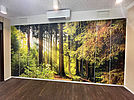 Wall unit with doors on which the photo motif of a forest situation with sunbeams is depicted