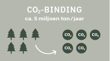 CO2-opslag CO2-opslag ongeveer: 1m3 hout slaat in totaal 1 ton CO2 op - met ongeveer 5 miljoen m3 hout komt dit overeen met een jaarlijkse CO2-opslag van 5 miljoen ton.