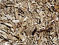 Dřevní štěpky jako surovina ze surového dřevotříska