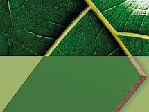 pannello decorativo green, a basse emissioni pannello decorativo green, a basse emissioni