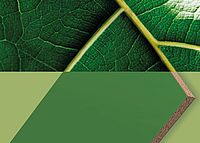 grüne, emissionsarme Dekorplatte grüne, emissionsarme Dekorplatte