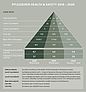 Pyramid of incidents at Pfleiderer