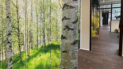 Close up wall unit from side birch forest Close-up of wall unit from the side with doors on which the photo motif of a sunny birch forest is depicted - one door is open and gives the impression of a birch tree standing freely in the room