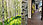 Close-up of wall unit from the side with doors on which the photo motif of a sunny birch forest is depicted - one door is open and gives the impression of a birch tree standing freely in the room
