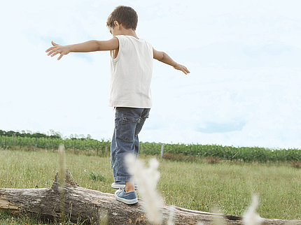 Here you will find all information on Pfleiderer's corporate responsibility with regard to quality philosophy, occupational safety, energy management, the environment and sustainability.  A boy can be seen from behind, balancing on a tree trunk in nature.