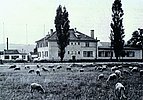 1944 Spostamento della sede principale dell'azienda a Neumarkt 
