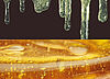 OrganicGlue z biogennych surowców