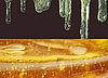 OrganicGlue aus biogenen Rohstoffen