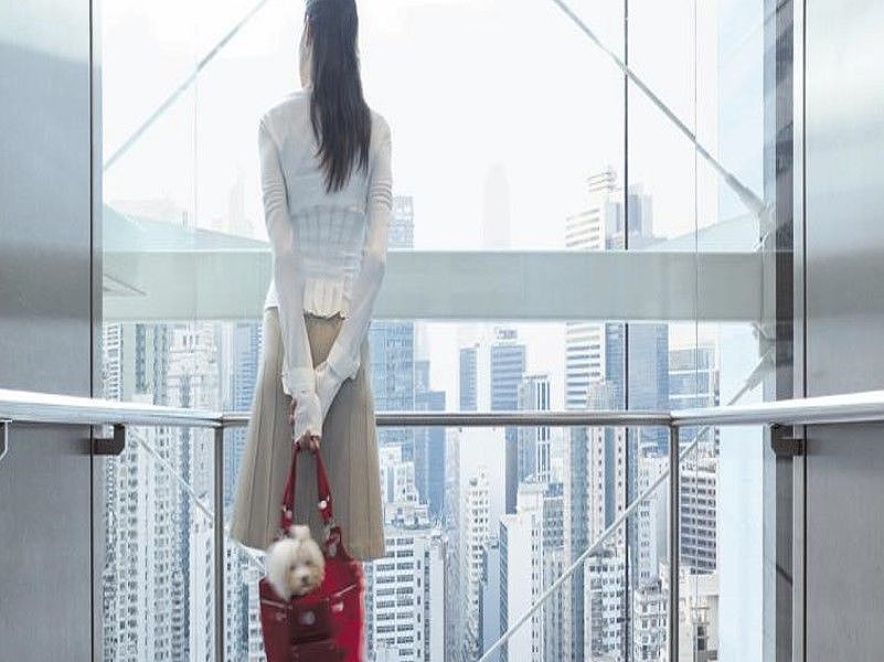 Pfleiderer offers products for every project in the Cruise & Transport sector. A young woman drives in a glass elevator and looks out the window.