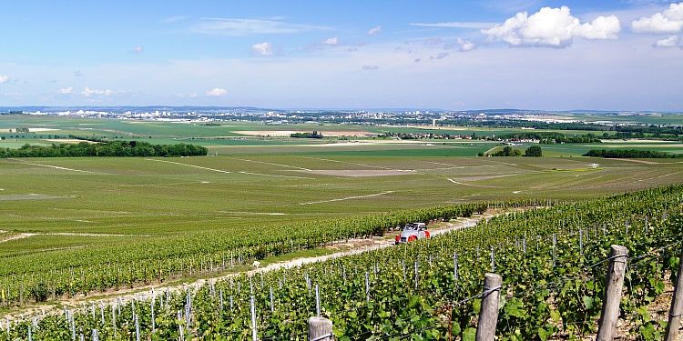 Man blick aus einer erhobenen Ansicht herunter auf einen großen Weinberg. Im Hintergrund sieht man ein Dorf und den sinnigen Himmel.