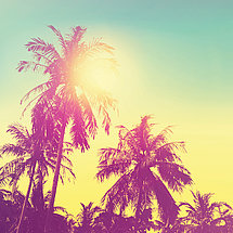 Pink houses Pink to purple palms in front of a yellow sky.